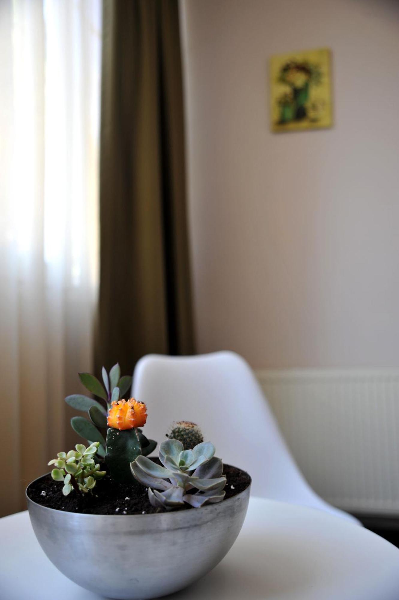 Like Home Brasov Ngoại thất bức ảnh